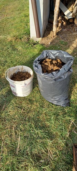 Obornik koński nawóz naturalny