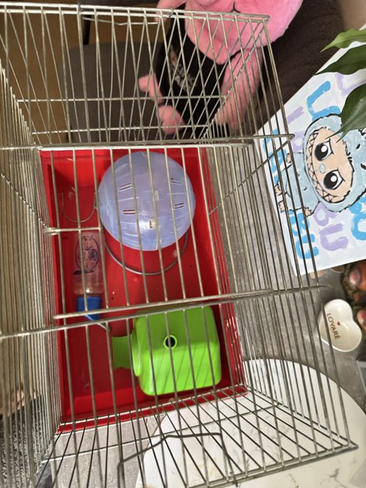 Клетка для хомяка 2