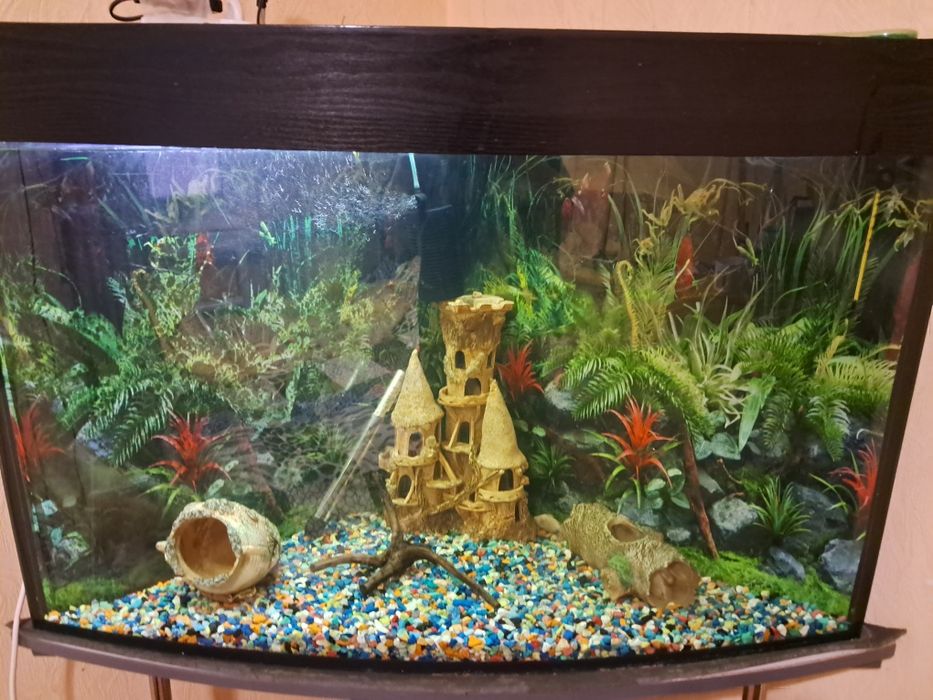 Продам аквариум угловой 170 литров  с тумбой и содержимым