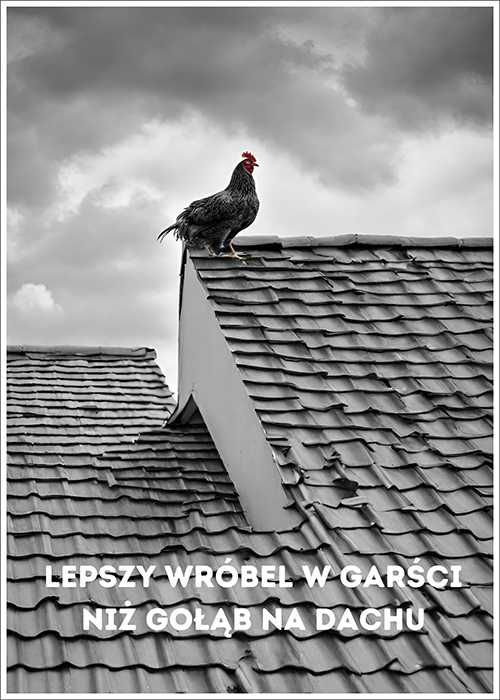 Plakat lepszy wróbel w garści niż gołąb na dachu