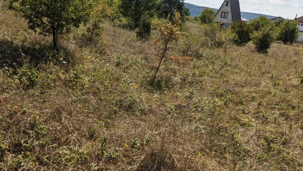 Продаж земельної ділянки на Дністрі Рудківці