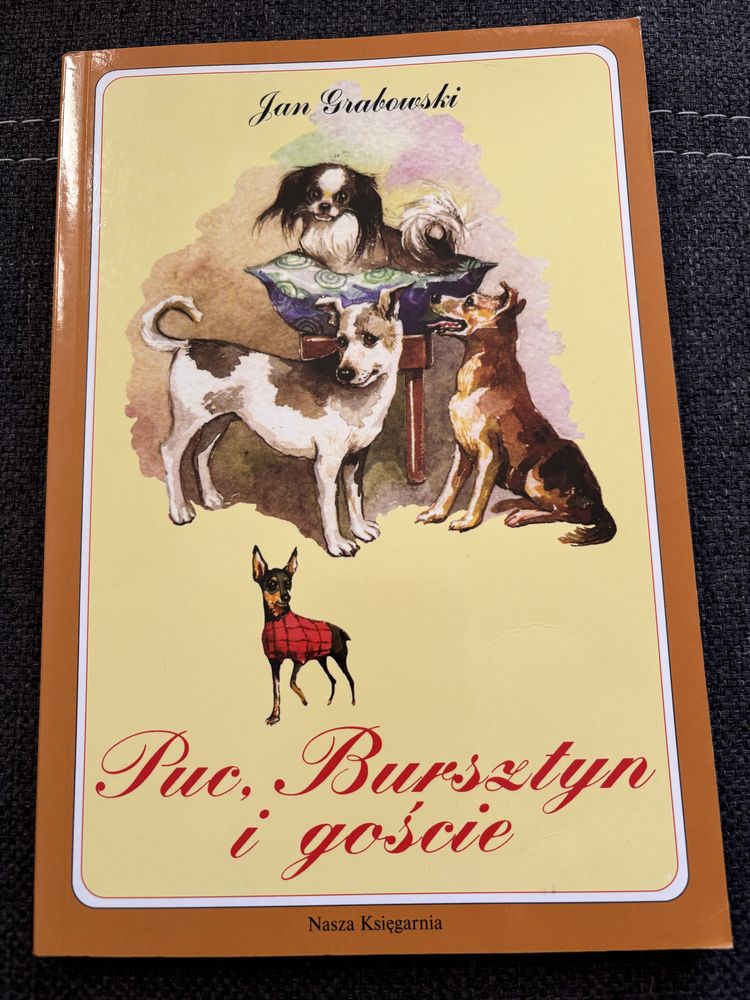 Książka „Puc, Bursztyn i goście”