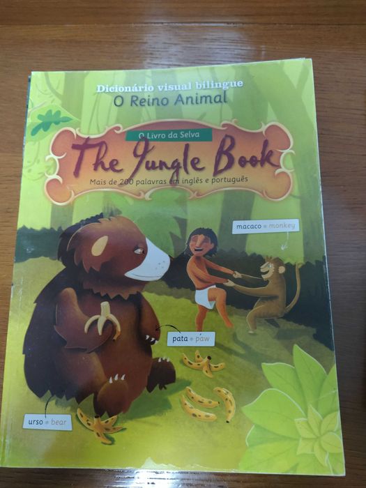 Dicionario Visual Biling