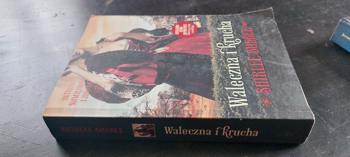 Waleczna i krucha Shirlee Busbee