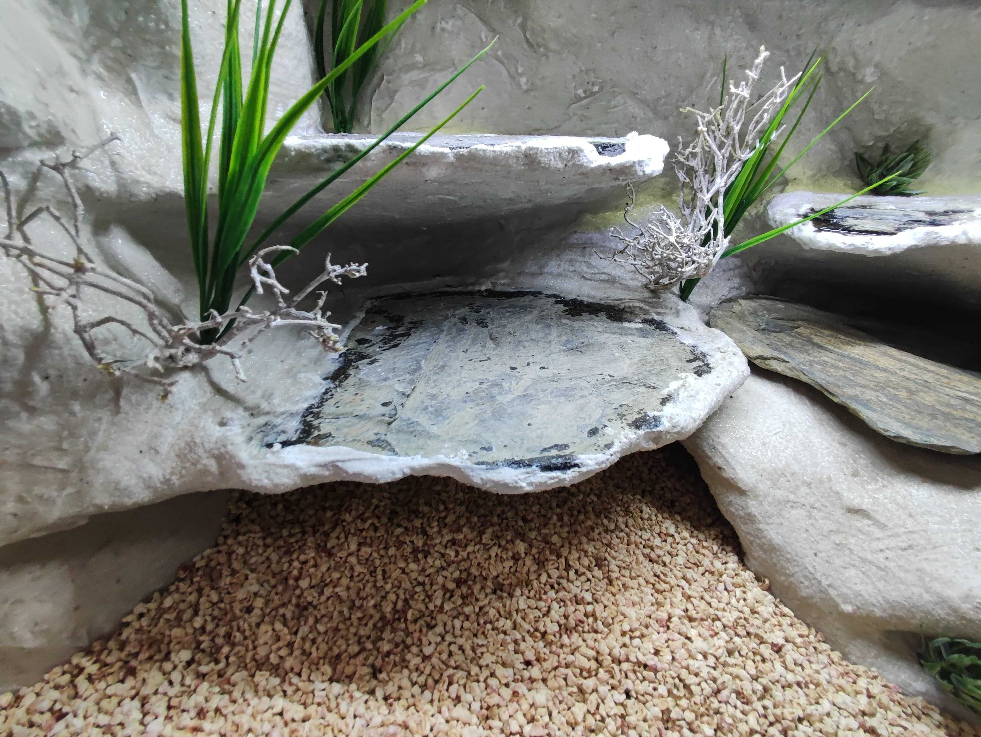 Terrarium pustynne nr752 60/40/40 dla gekona lamparciego DOSTĘPNE