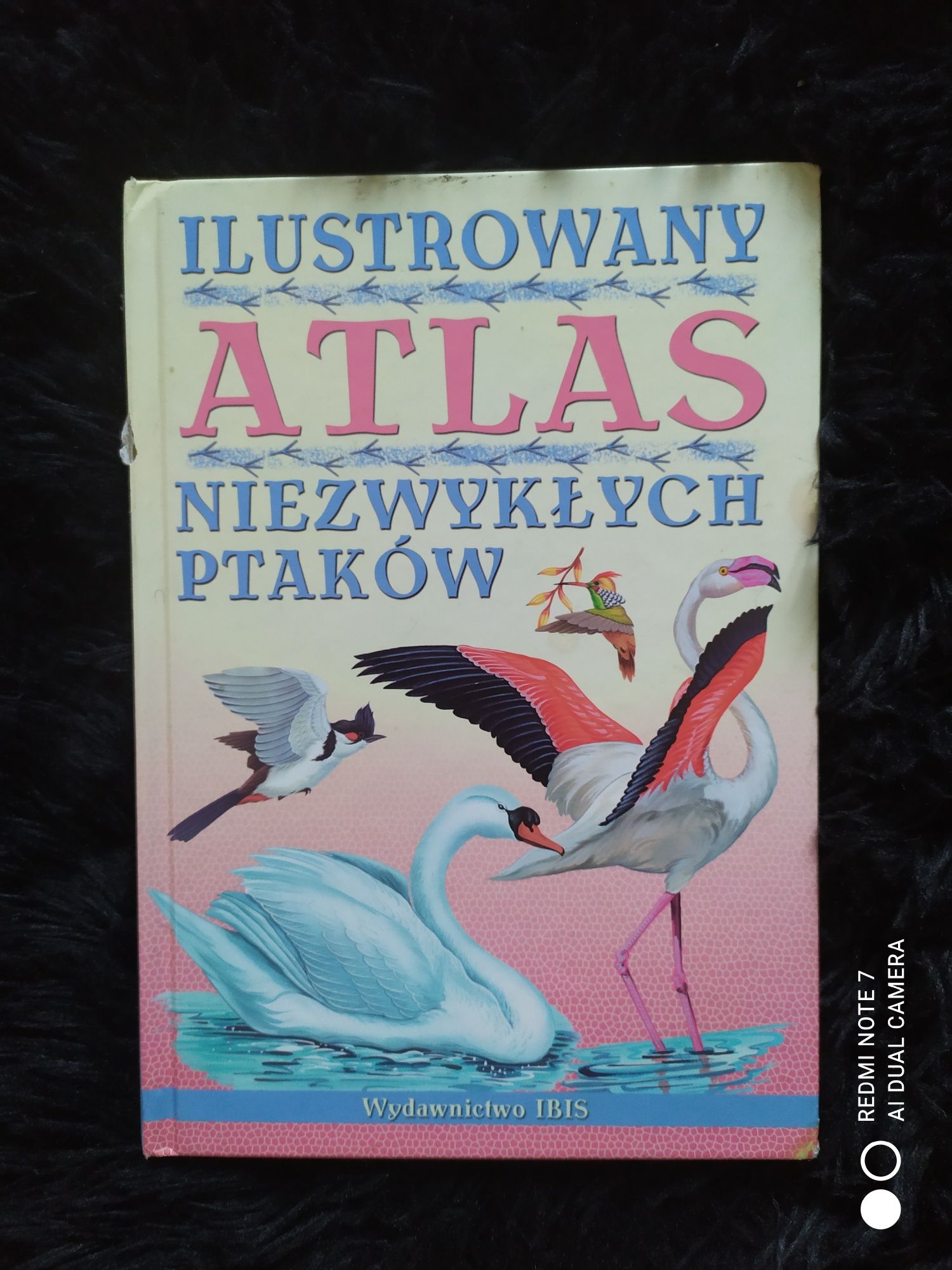 Ilustrowany atlas niezwykłych ptaków