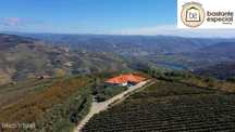 Quinta no Alto Douro Vinhateiro - Lamego com 7 ha (hectares)