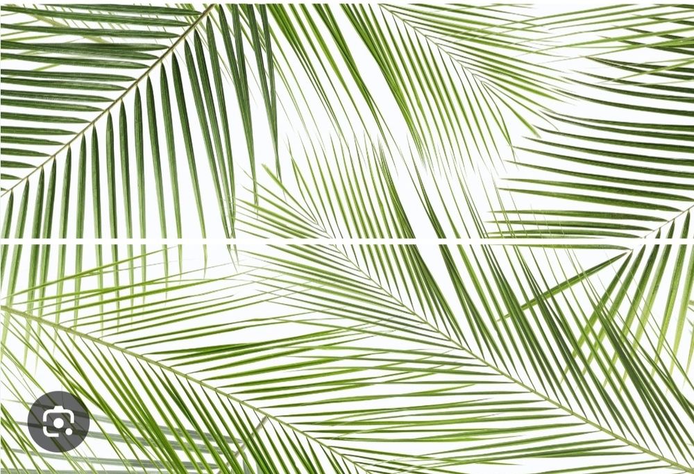 Plytki ścienne łazienkowe Końskie Centro Brennero Tropic Inserto