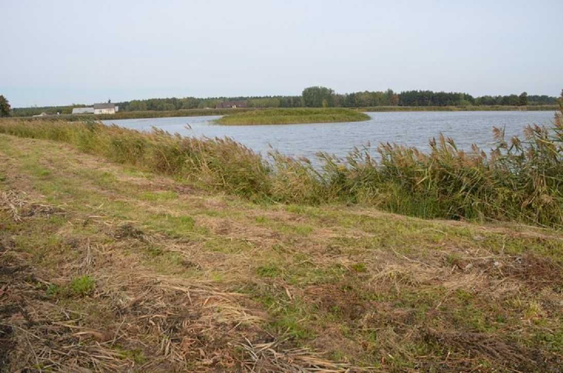 Stawy Hodowlane Gospodarstwo Rybackie Karpiowo Pstrągowe