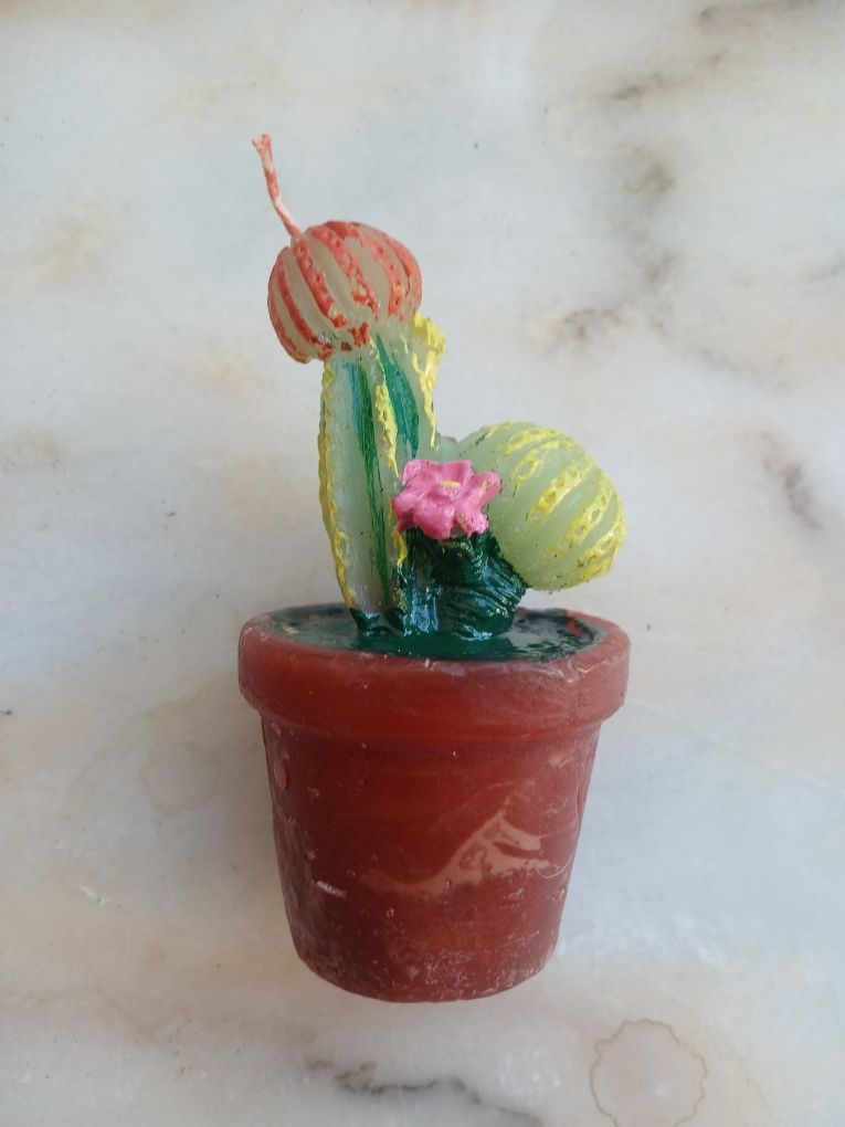 Velas em forma de cacto