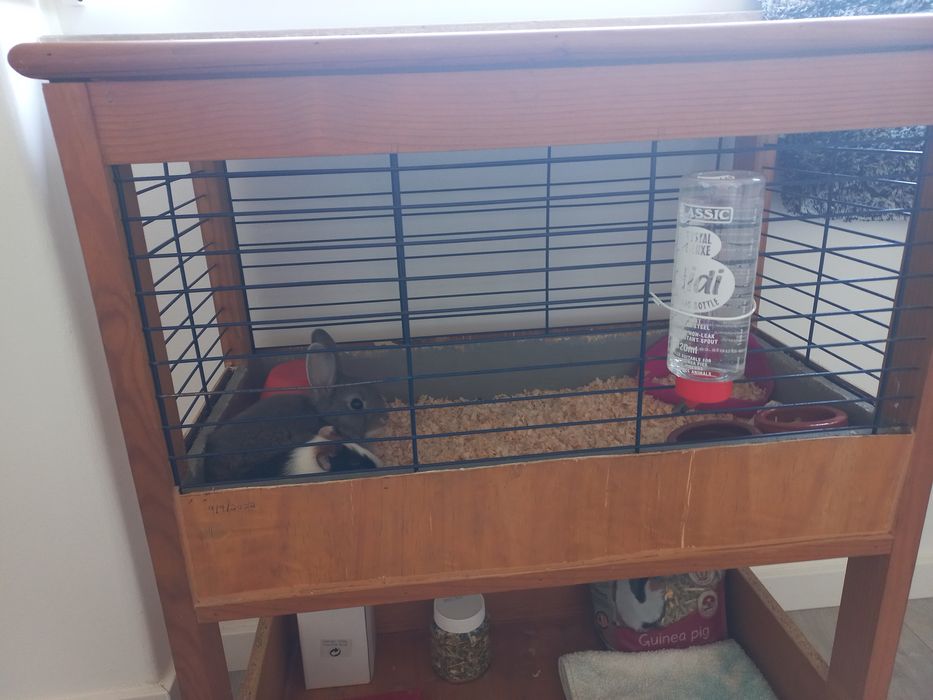 Gaional para Roedores