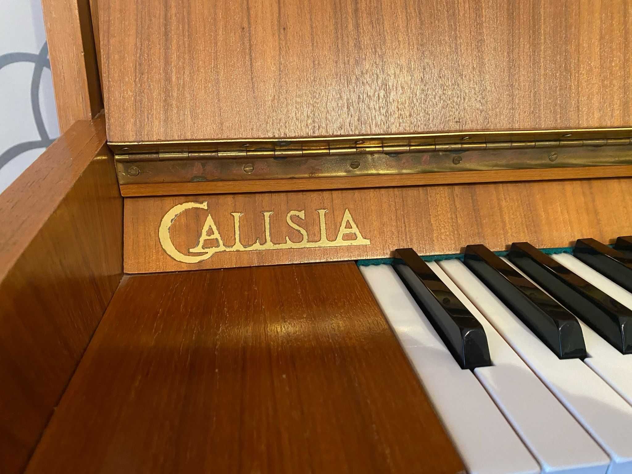 Pianino polskiej marki Calisia, stan dobry