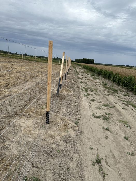 Ogrodzenie Budowlane Tymczasowe Leśne