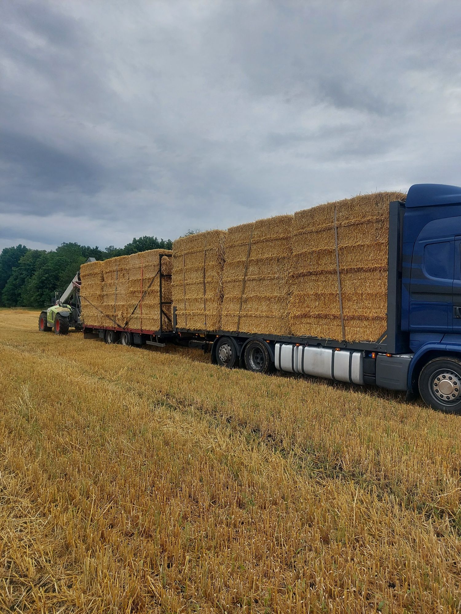 Słoma w dużych kostkach 250x120x90 jęczmienna 2025