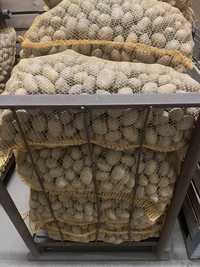 Ziemniaki Catania, Irga wielkość sadzeniaka