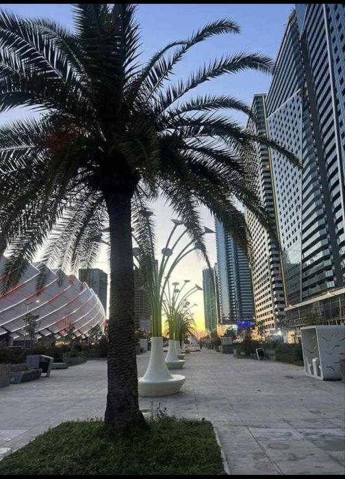 Квартира в Батуми