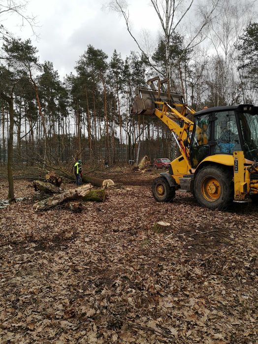 Koszenie zarośli, wycinka drzew, mulczowanie, usuwanie karp