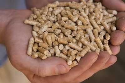 Pellet Pelet  z Certyfikatem EN+A1  rabaty dla stałych odbiorców