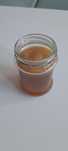 Kombucha grzyb herbaciany scoby