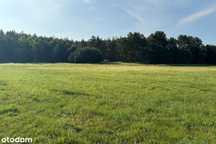 Działka rolna-rekreacyjna 7000m2 Bory Tucholskie, Zimne Zdroje