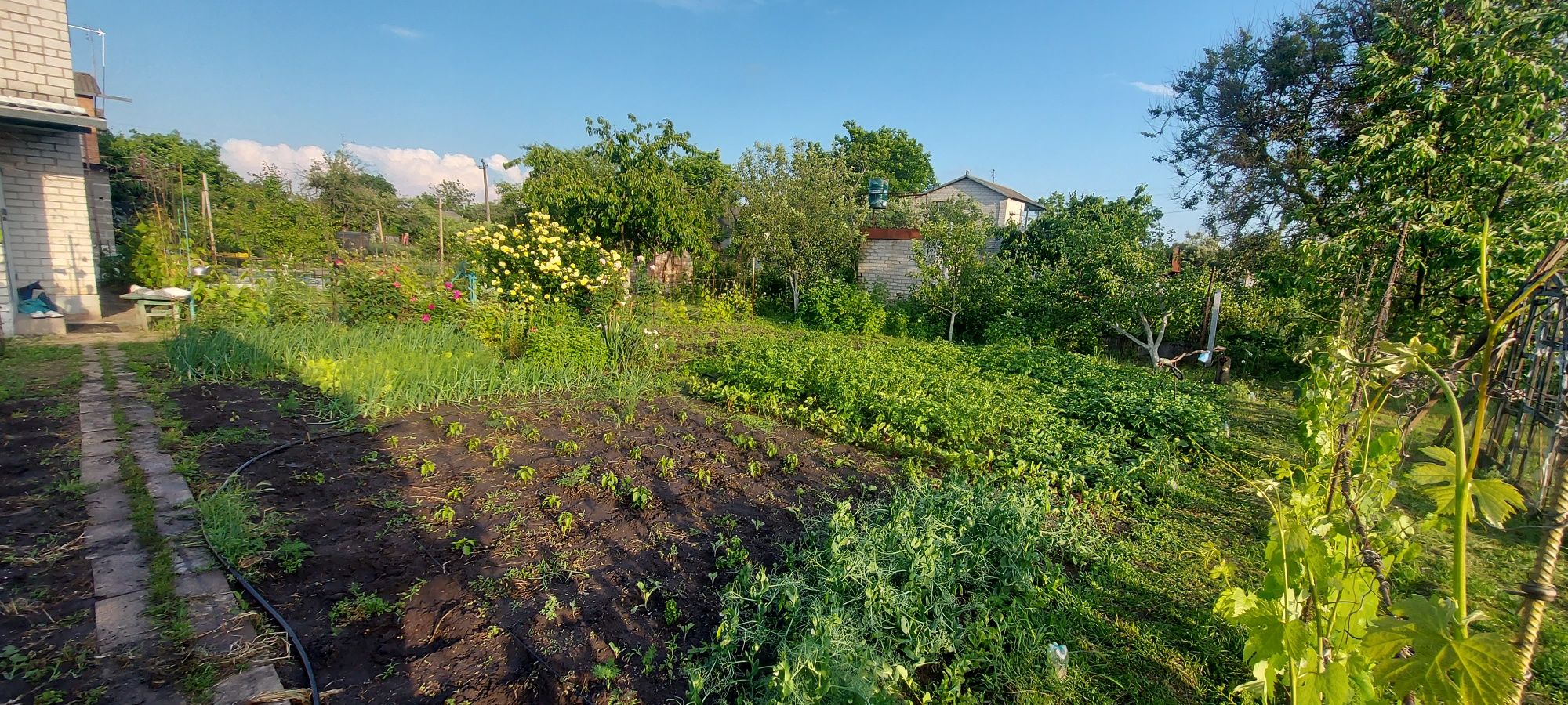 Продам дом с участком и баней