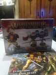 Warhammer Age of Sigmar Stormcast Eternals Vindictors + Paint Set