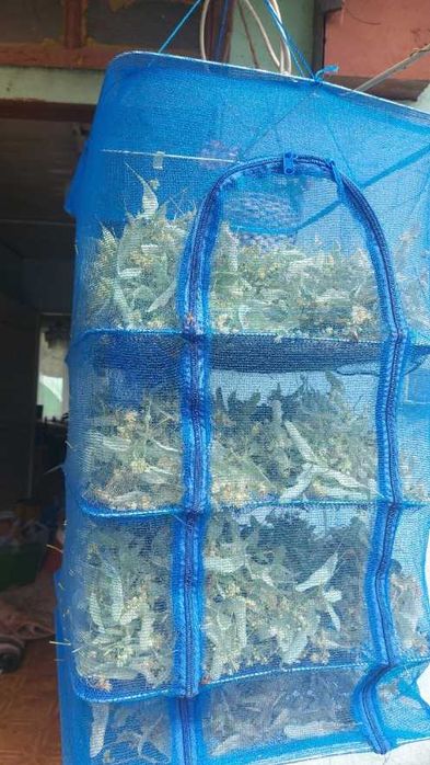 Suszarka Siatkowa Duża Wytrzymała do Grzybów Owoców Ziół Wędkarstwa