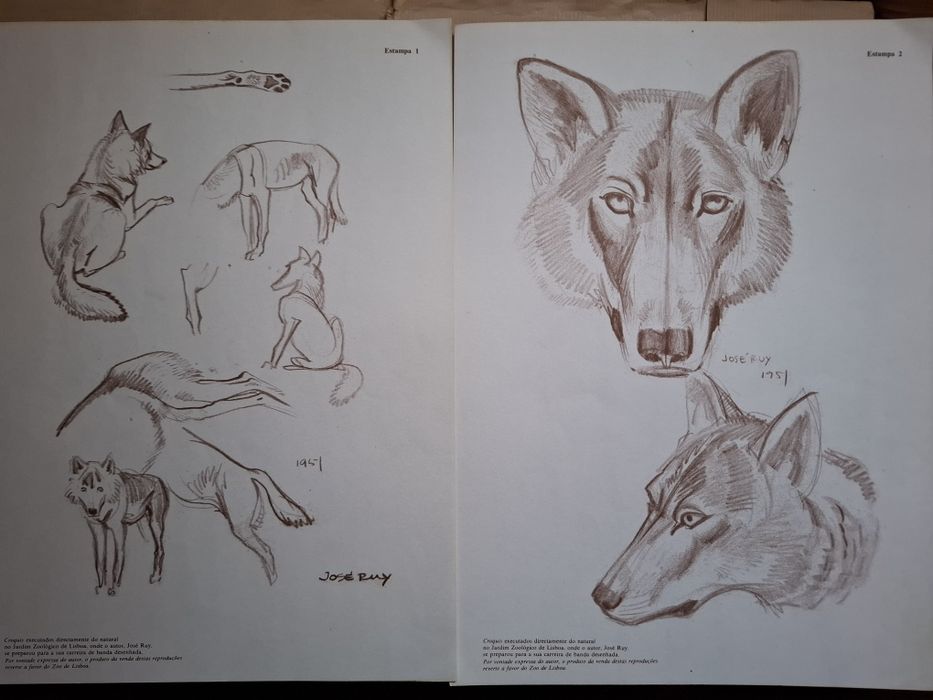 Desenhos de José Ruy