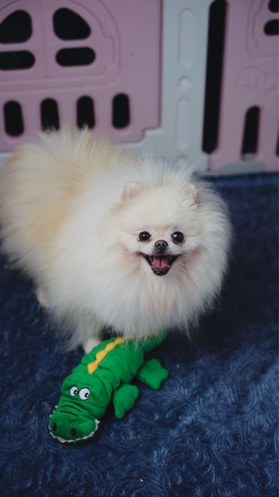 Piękna dziewczynka ra