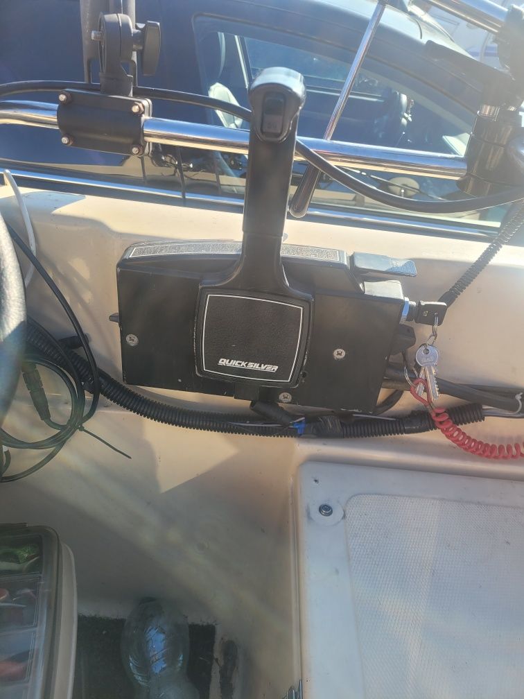 Mercury 50hp  efi 2002r