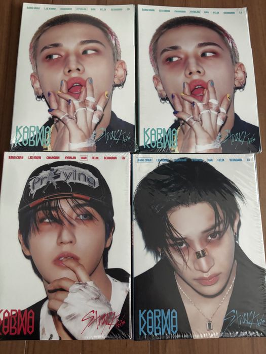 Stray kids Karma album