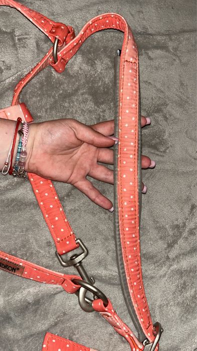 Kantar eskadron nici peachy