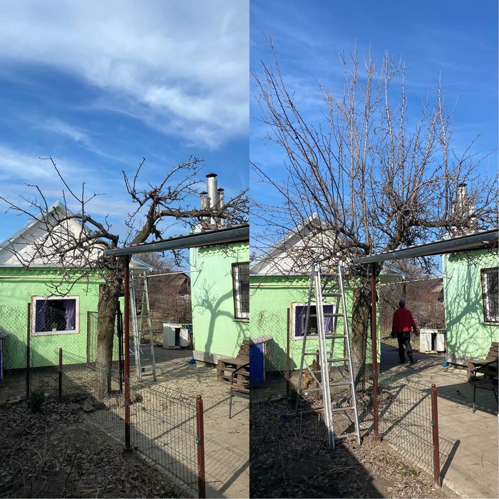 Професійна обрізка фруктових дерев.Для тих кто любить смачні фрукти