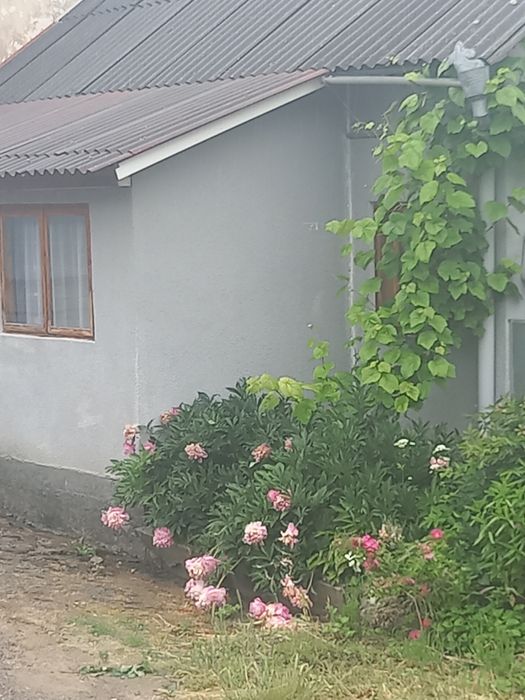 Житловий будинок