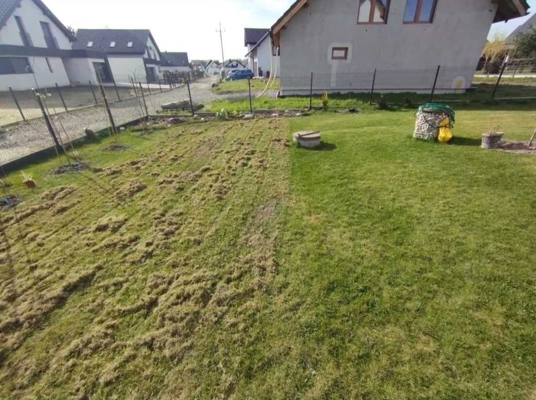 Wynajem wertykulator spalinowy weibang aerator rurkowy żory Katowice