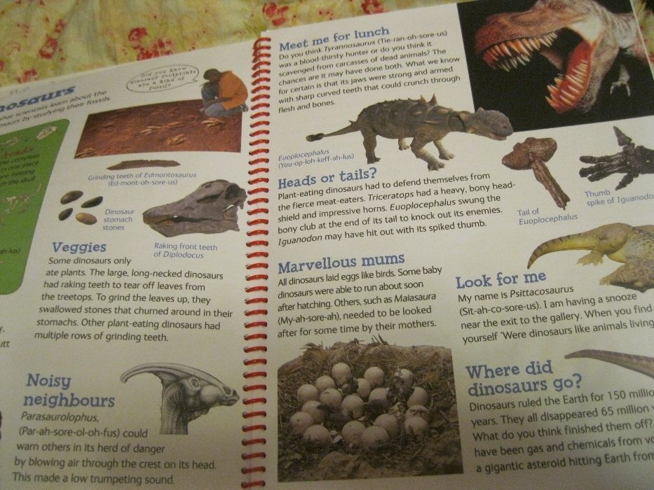 детская книга энциклопедия kids only natural history museum английский