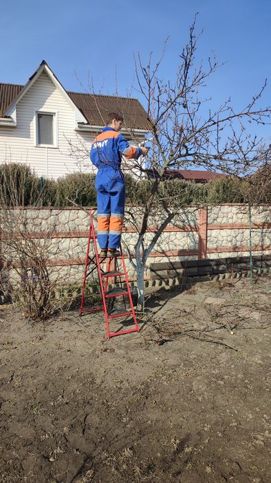 Зріз та обрізка дерев | подрібнення гілля |зачистка ділянок – швидко