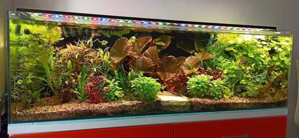 Lampa do akwarium na diodach power led 190 cm lub  na wymiar.