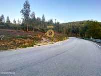 Terreno Florestal
