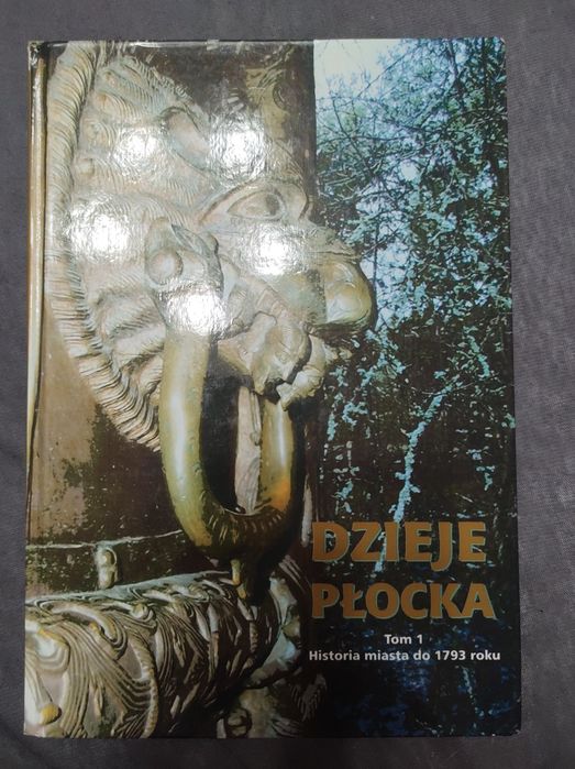 Dzieje Płocka Tom 1