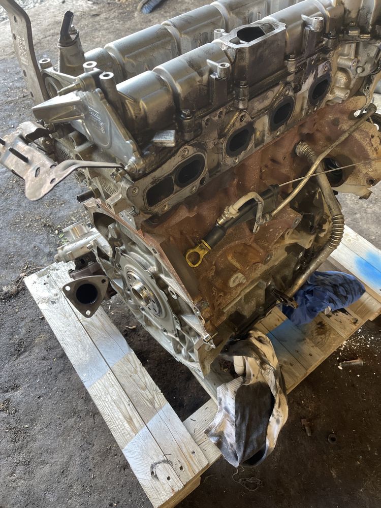 Silnik /2.0 ECOBLUE Ford CUSTOM  2024/BKFB / uszkodzony po gwarancji
