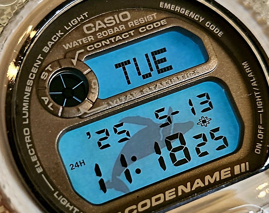 DW-6910K Codename Icerc Casio G-shock vintage-G 1997