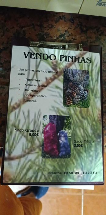 Sacos de pinhas vários tamanhos