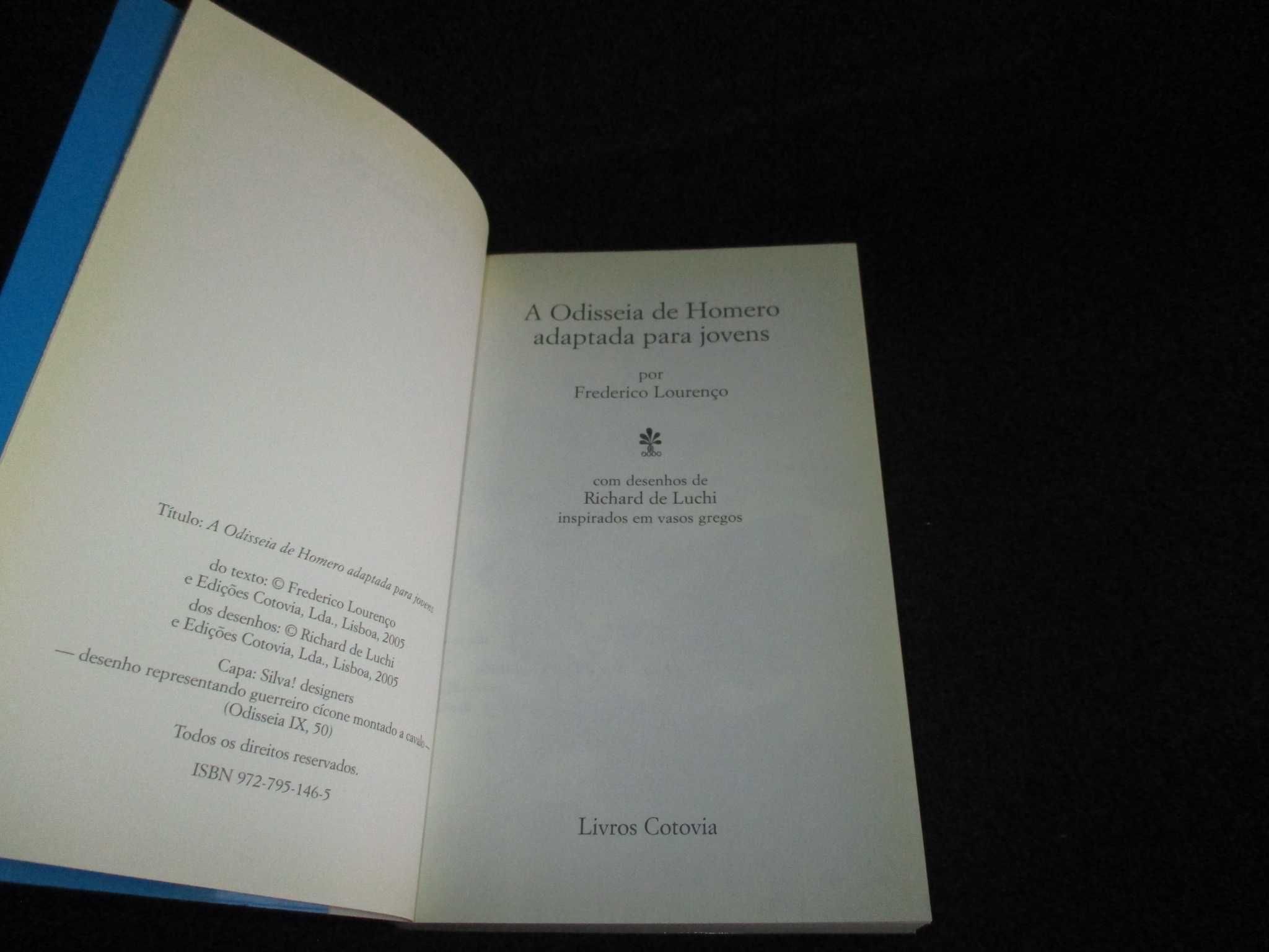 Livro A Odisseia de Homero adaptada para jovens Frederico Lourenço