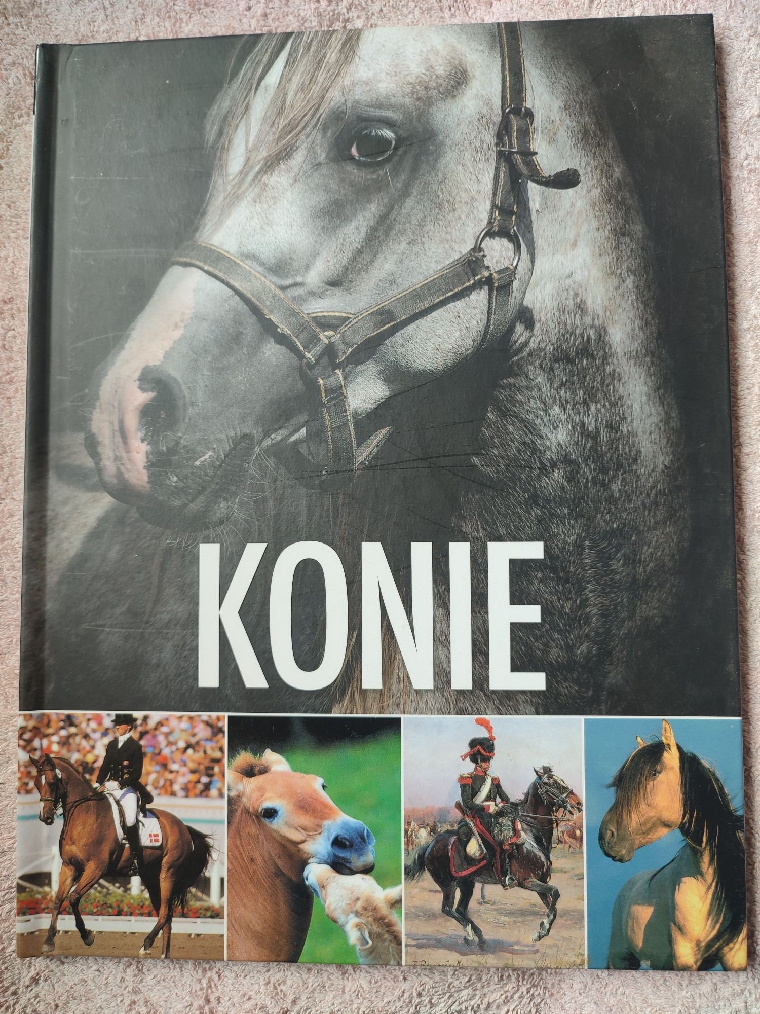 Zestaw książek o koniach i kucach