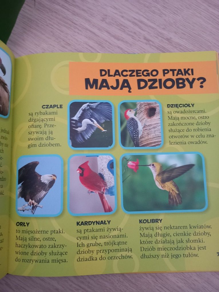 Duża Książka dla małych dzieci