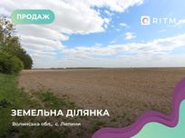 Продається земельна ділянка в с. Липини