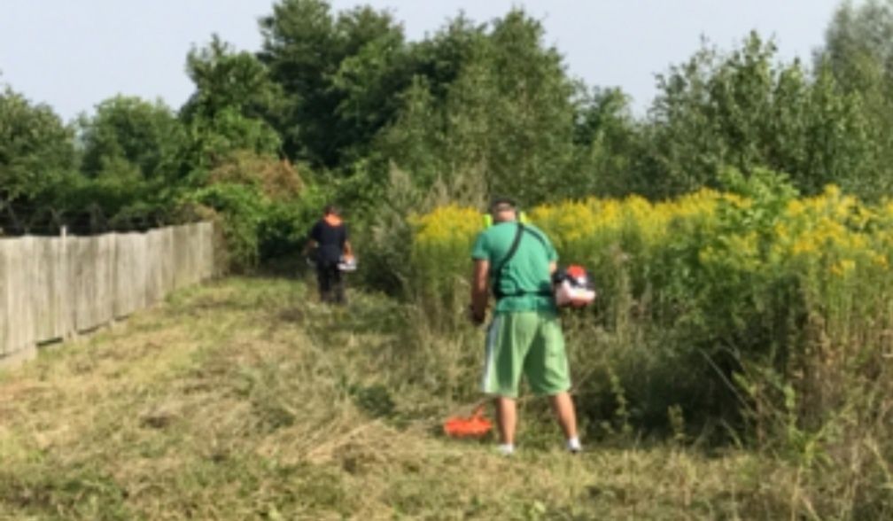Прибирання ділянок, Розчищення ділянки, вирубка порості.
 * Розчищення