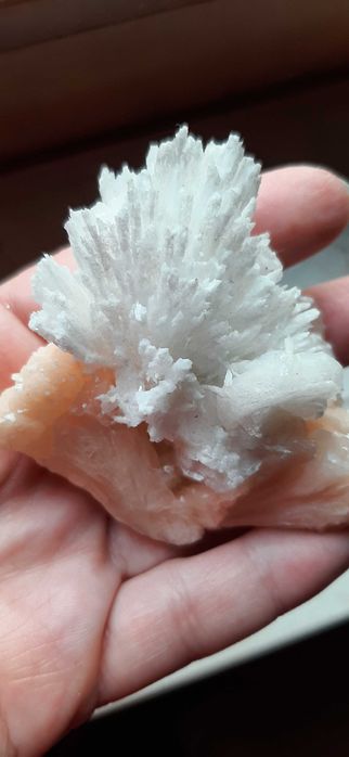 Wyjątkowy skolezit na stilbicie Indie