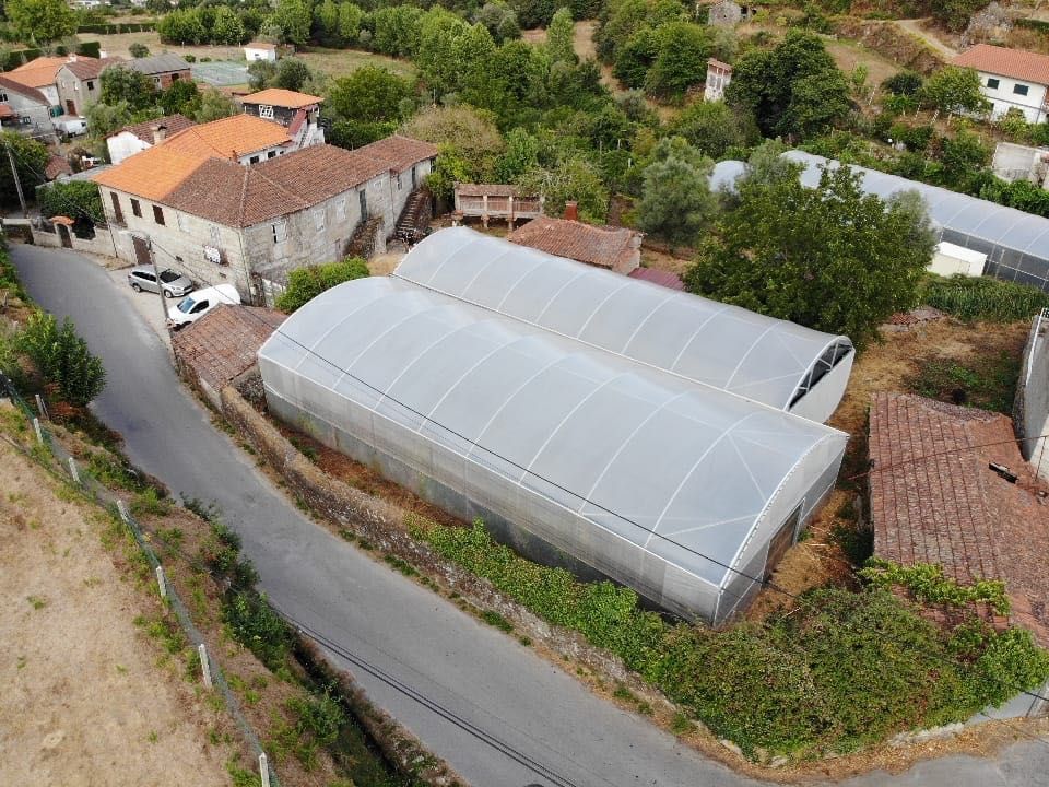 Estufas agrícolas (1000m2)